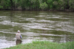 Fly Fishing