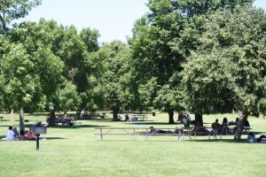Picnic Area at Willow River State Park