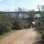 A Visit to the Orchard