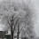 Travelogue - Maiden Rock Winery and Cidery Medieval Feast and Wassailing of the Trees