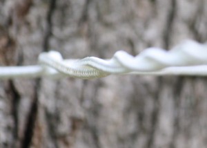 No Pins Camping Clothesline No Pins Camping Clothesline